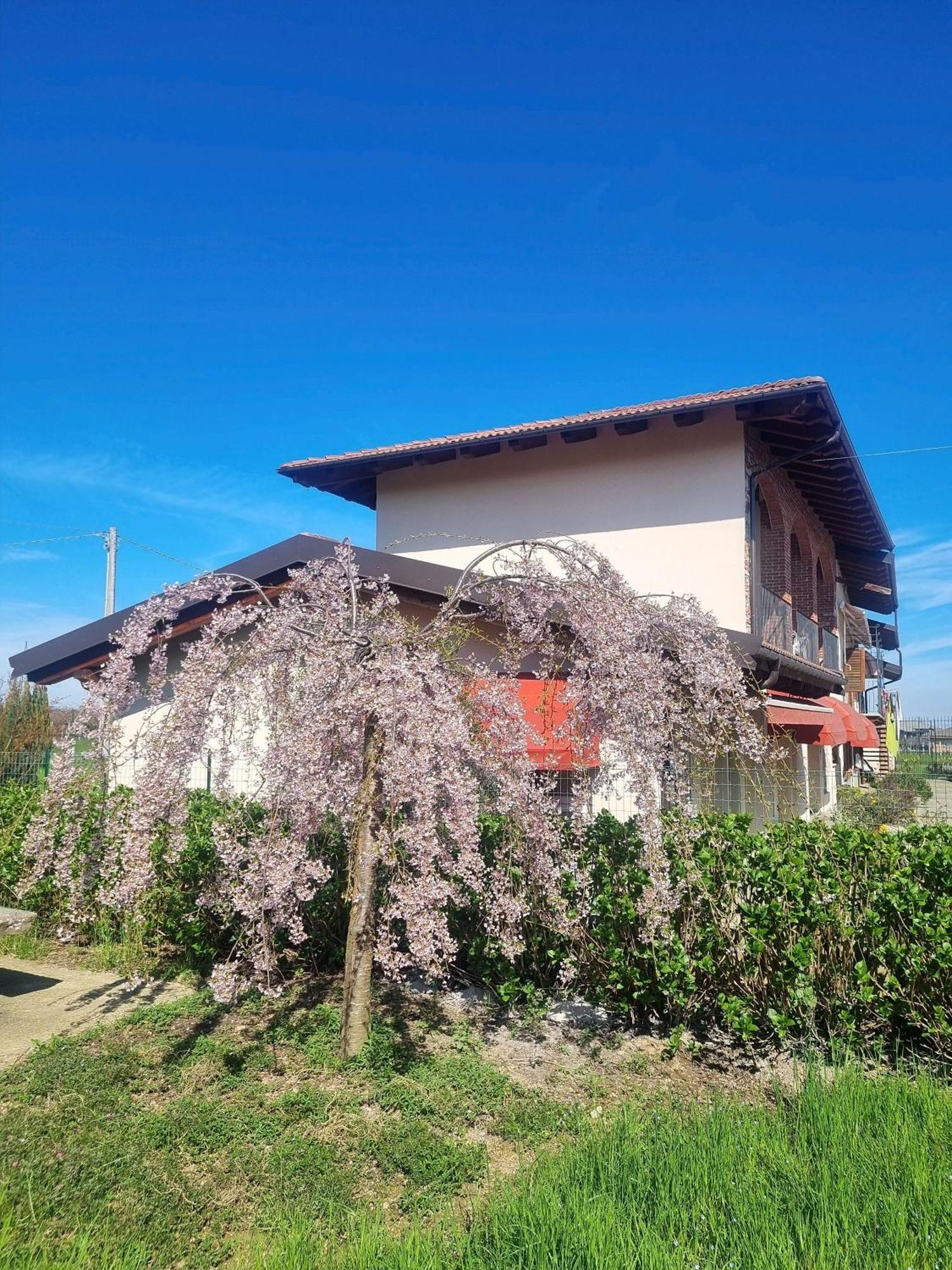 Bed and Breakfast Cascina la Demilana Bibiana Exterior foto